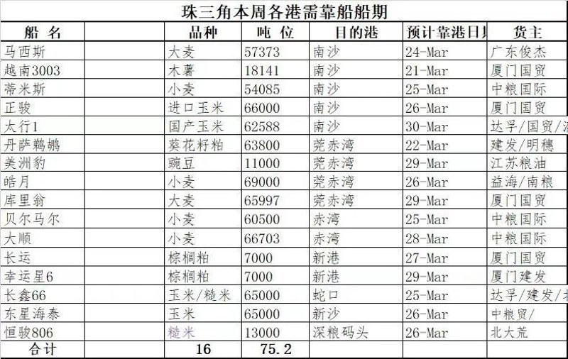 广州贸易公司的成长之路:从新手到专业人士
