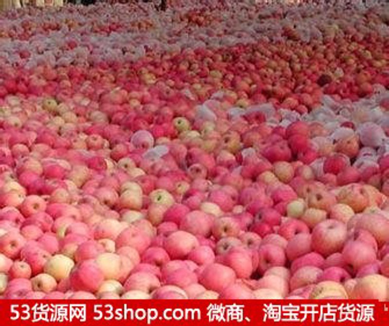 商品代购:如何在海外淘到好货?
